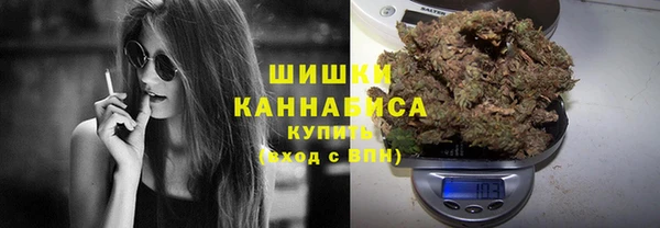 a pvp Карпинск