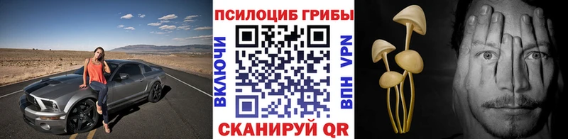Купить где  Лыткарино  Галлюциногенные грибы GOLDEN TEACHER 